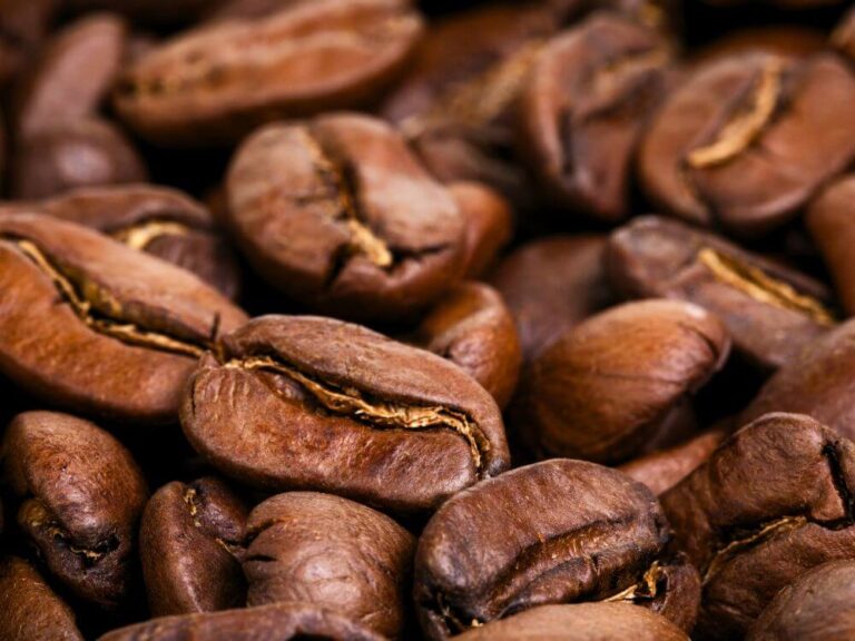 Arabica kávébab jellemzői