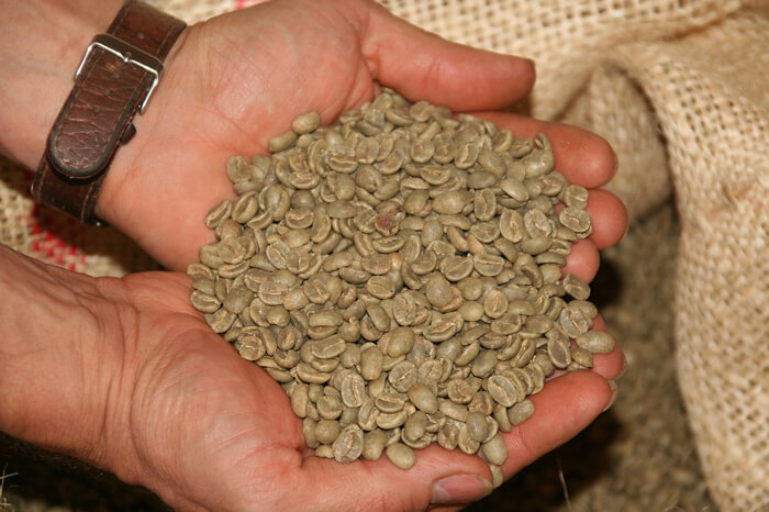 Zöld Kávé (újabb fogyókúrás átverés?) - Index Fórum