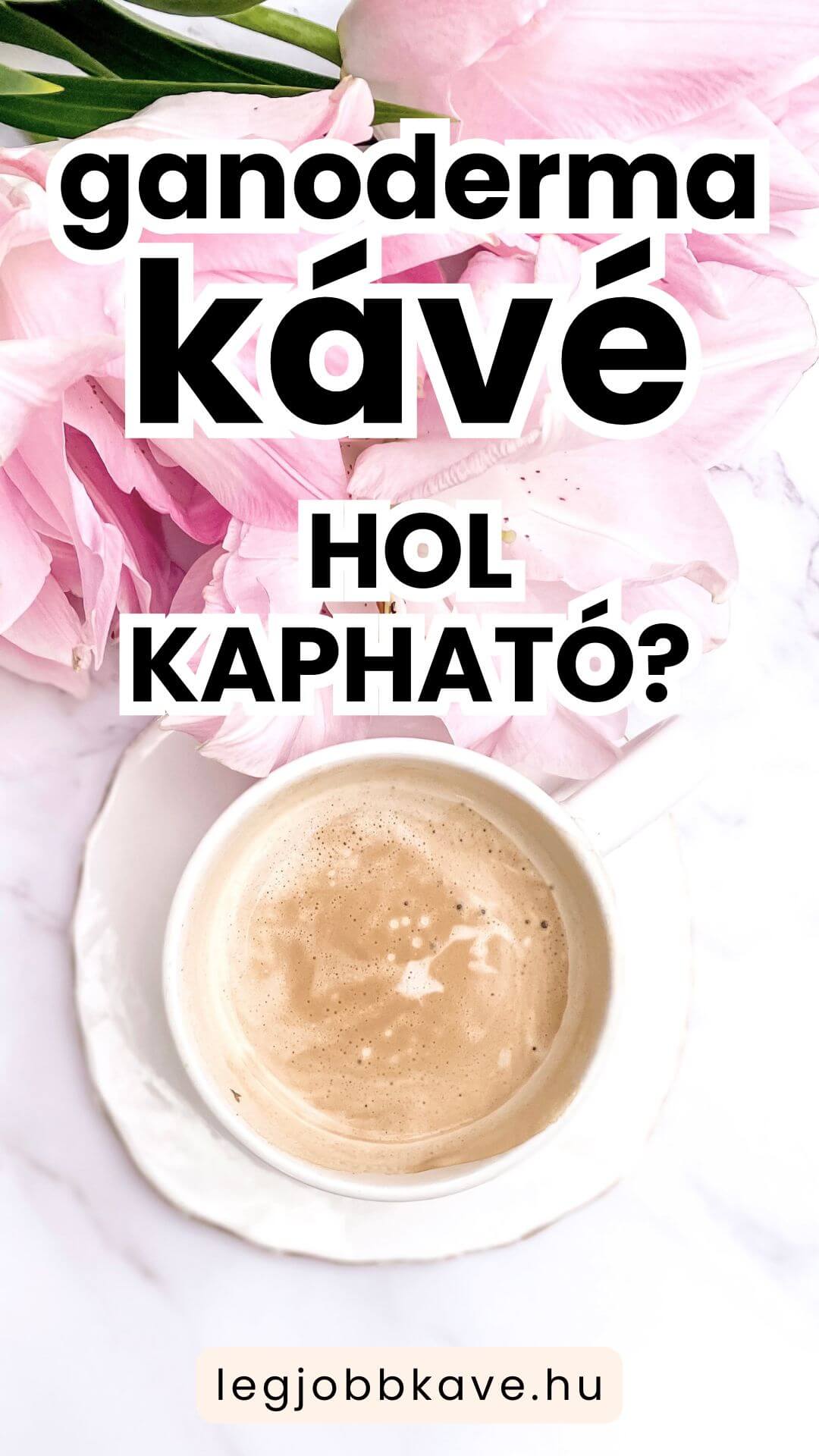 Ganoderma kávé vásárlás