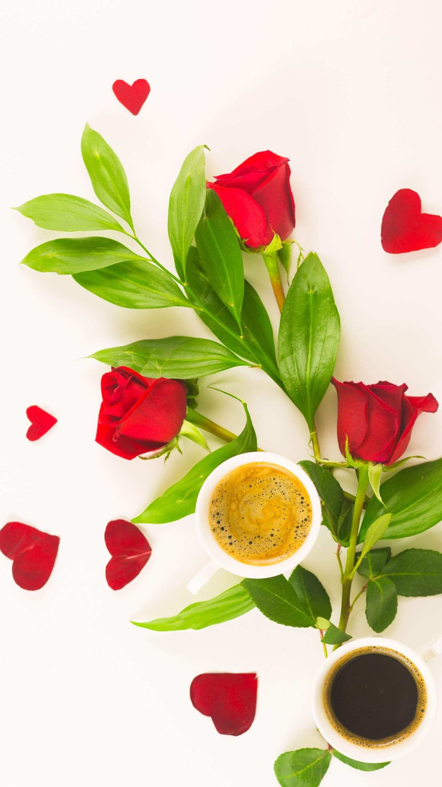 Rózsák és Illlat – Elegáns Valentin-napi Háttérkép